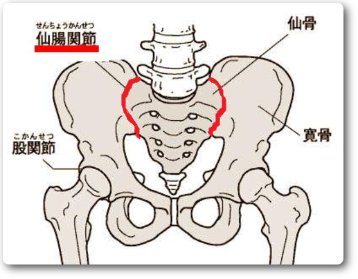 仙腸関節の痛みに鍼治療は効果がありますか?